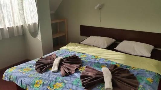 Terve Hostel - 16