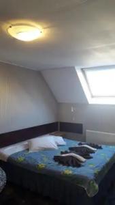 Terve Hostel - 14