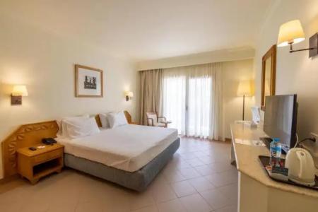 Camel Dive Club & - Boutique - 41