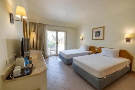 Camel Dive Club & - Boutique - 40