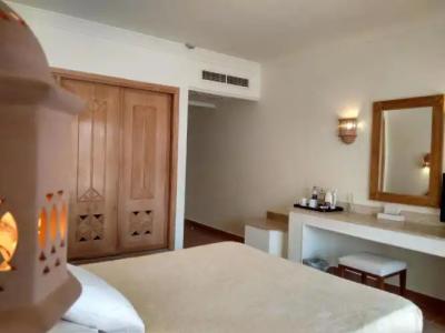 Camel Dive Club & - Boutique - 38