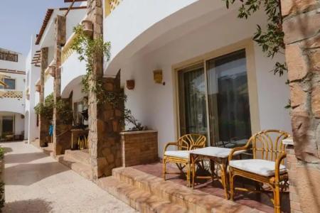 Camel Dive Club & - Boutique - 43