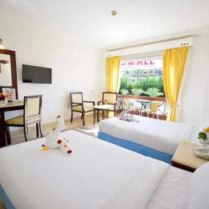 Falcon Naama Star - 50