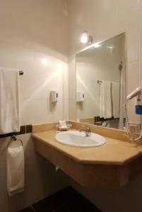 Falcon Naama Star - 60