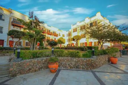 Falcon Naama Star - 51