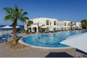 Amphoras Blu Ultra-AI Adults Friendly, Sharm el Sheikh