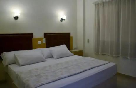 Shark Bay Oasis - 52