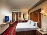 Royal Club Double Nile View room