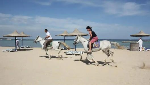 Harmony Makadi Bay - 26