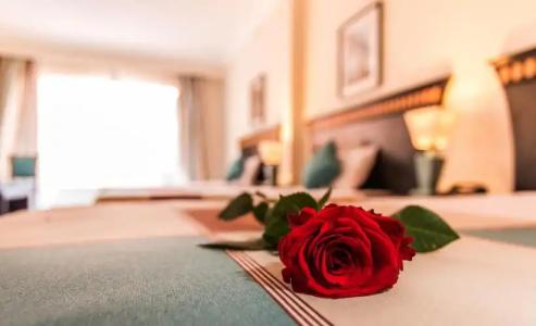 Seagull Beach Resort - Families and Couples Only - 58