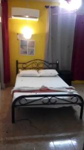 Residence les Bambous - 35