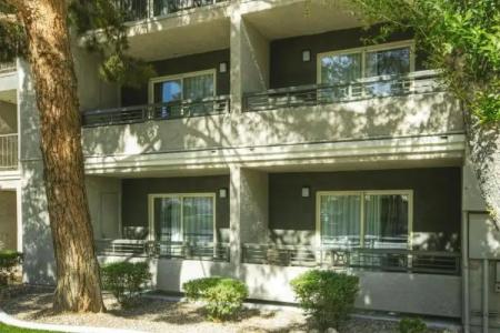 Desert Rose Resort - 35