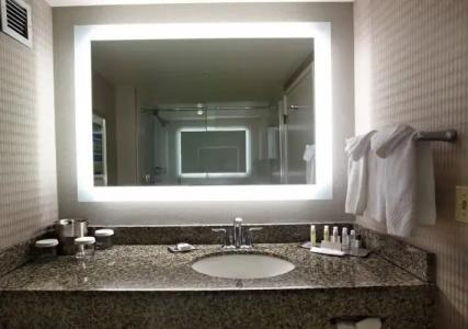 DoubleTree by Hilton Las Vegas Airport - 8