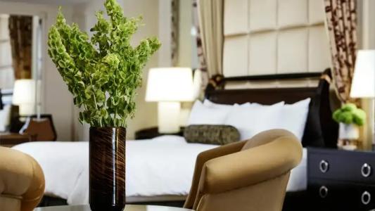 The Venetian® Resort - 18