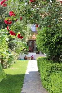 Foca Antik Otel - 121