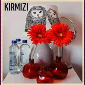 Foca Antik Otel - 68