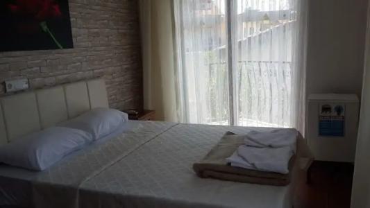 Dalyan Palmyra - Special Class - 19