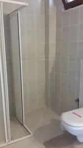 Dalyan Palmyra - Special Class - 41