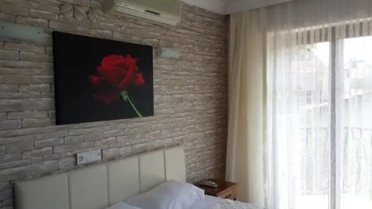 Dalyan Palmyra - Special Class - 25