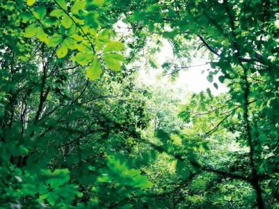 Otaru Asari Classe - 28