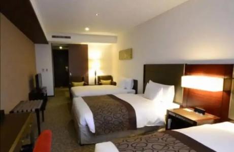 Ibis Styles - 39