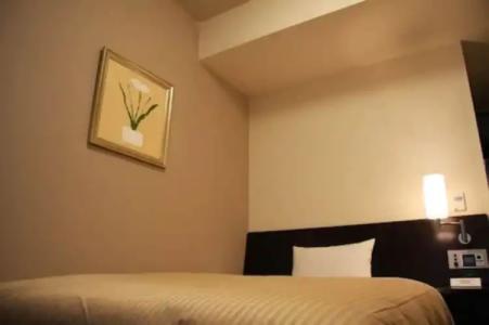 Route-Inn Sapporo Chuo - 26