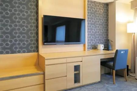 Sapporo Excel Tokyu - 80