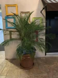 L.A. Sky Boutique - 13