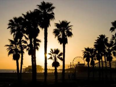 Sofitel Los Angeles at Beverly Hills - 21