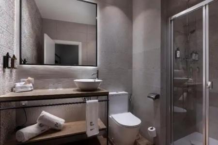 Petit Palace Plaza de la Reina - 38