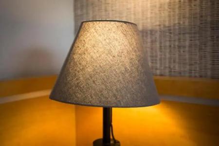 You & CO. J. Botánico Boutique - 79