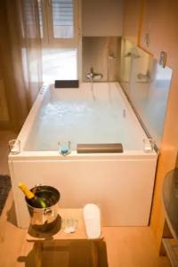 You & CO. J. Botánico Boutique - 35