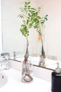 You & CO. J. Botánico Boutique - 33