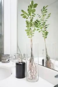 You & CO. J. Botánico Boutique - 36