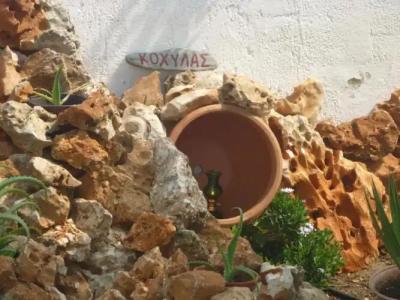 Skyros Junior Studios - 13