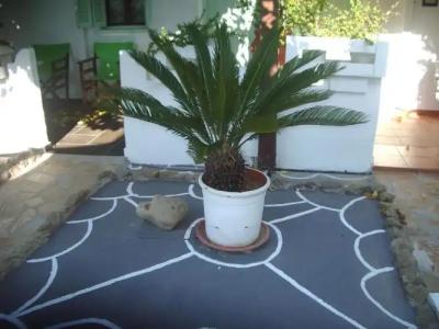 Skyros Junior Studios - 51