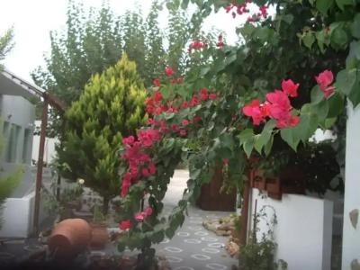 Skyros Junior Studios - 18