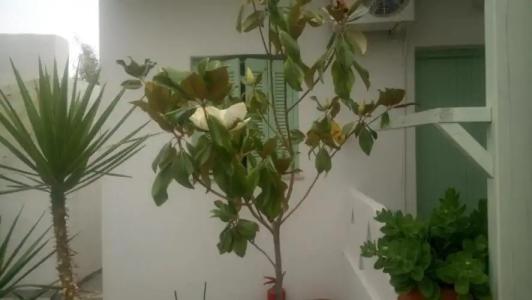 Skyros Junior Studios - 48