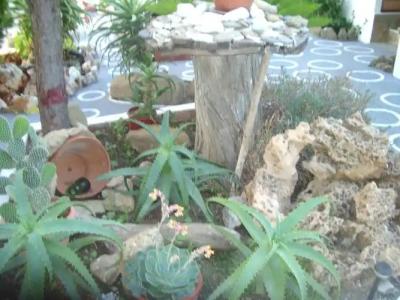 Skyros Junior Studios - 5