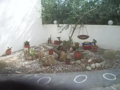 Skyros Junior Studios - 4