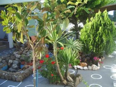 Skyros Junior Studios - 43