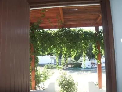 Skyros Junior Studios - 34