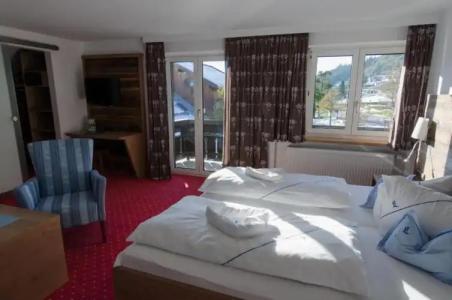 Alpengasthof Löwen - 13