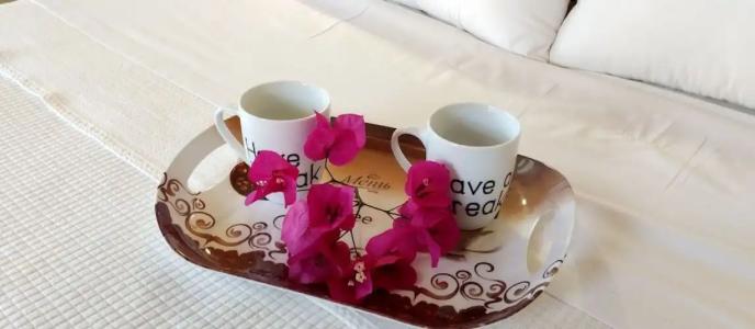 Corfu Dream Village - 96