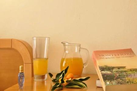 Lido Sofia Holidays - 10