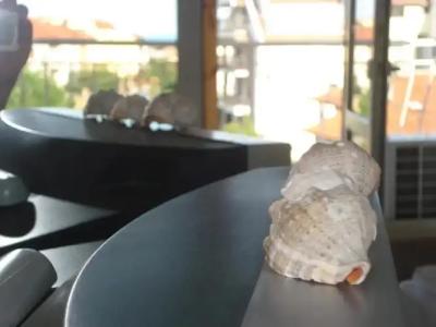 The Sunny Home Guesthouse - 37