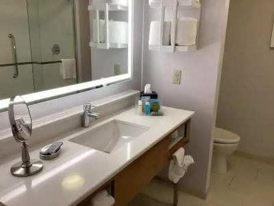Hampton Inn & Suites Miami/Brickell-Downtown - 9