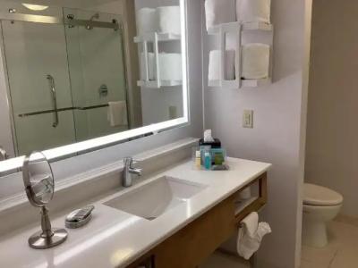 Hampton Inn & Suites Miami/Brickell-Downtown - 53