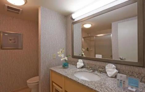 Hampton Inn & Suites Miami/Brickell-Downtown - 59