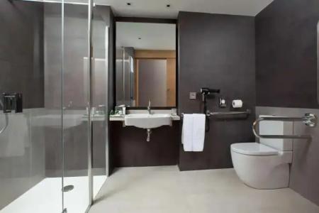 NH Collection Aranzazu - 9